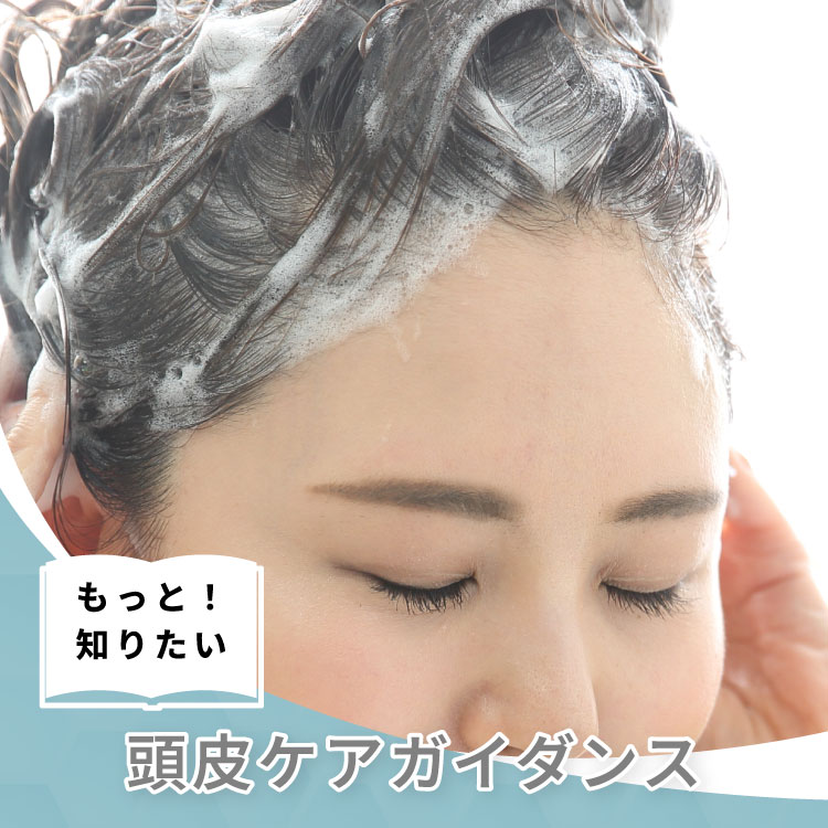 M Guide3