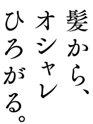 再値下げしました‼️ セモア社 スベンソン ウィッグ-