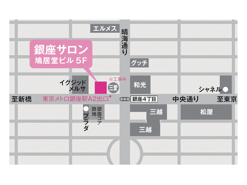 銀座サロンアクセス地図