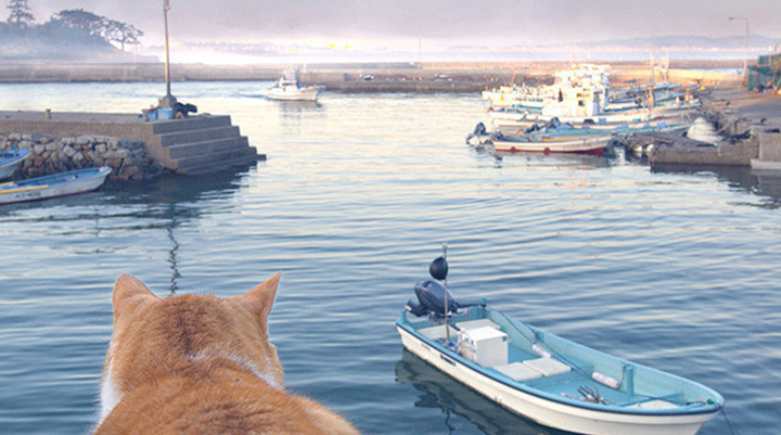 港と猫