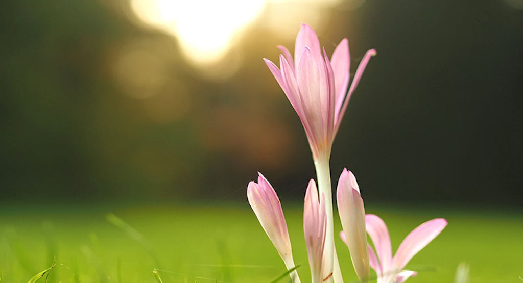 10年前の自分に伝えたいこと