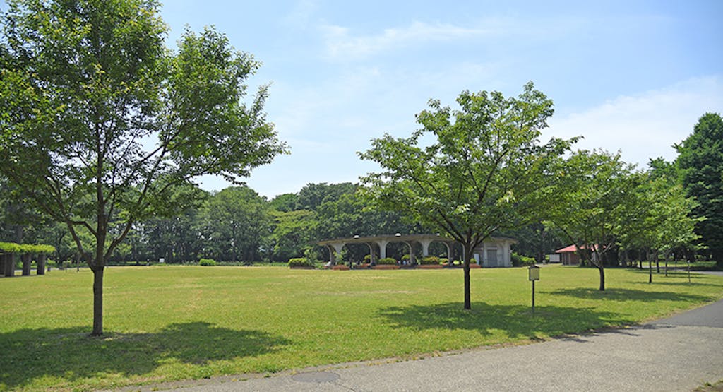 ライフスタイル密着取材  SANAEさん