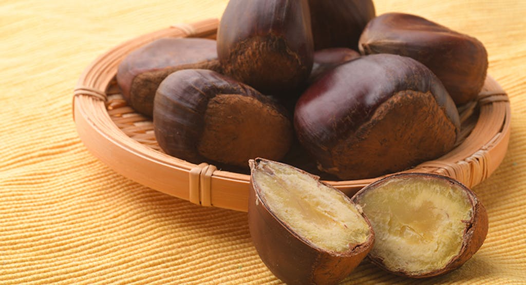 いまの仕事がいちばん楽しい