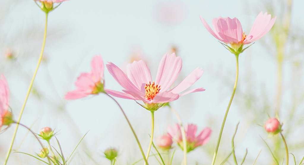 リンパ浮腫とスマホと早起きの意外な関係性