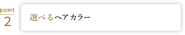 選べるヘアカラー