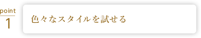ボリュームアップにこだわった バリエーション豊富なウィッグ