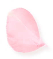花左