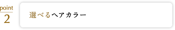 選べるヘアカラー