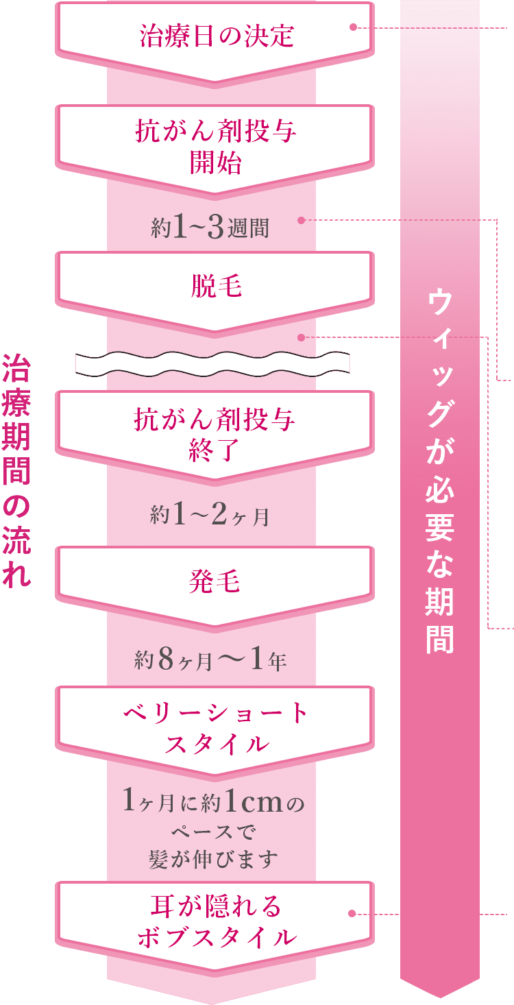 治療期間の流れ
