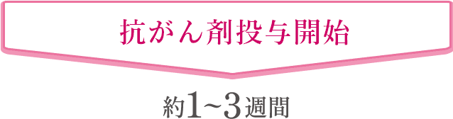 抗癌剤投与開始 約10日〜20日