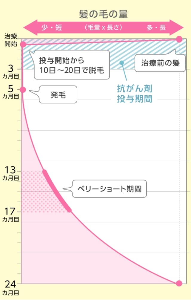 髪の毛の変化（グラフ）